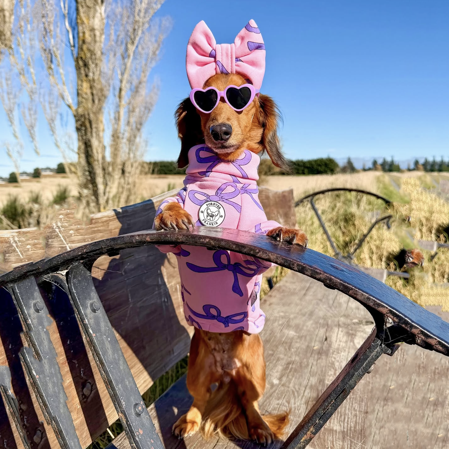 Lavender Bows - Dog Skivvy
