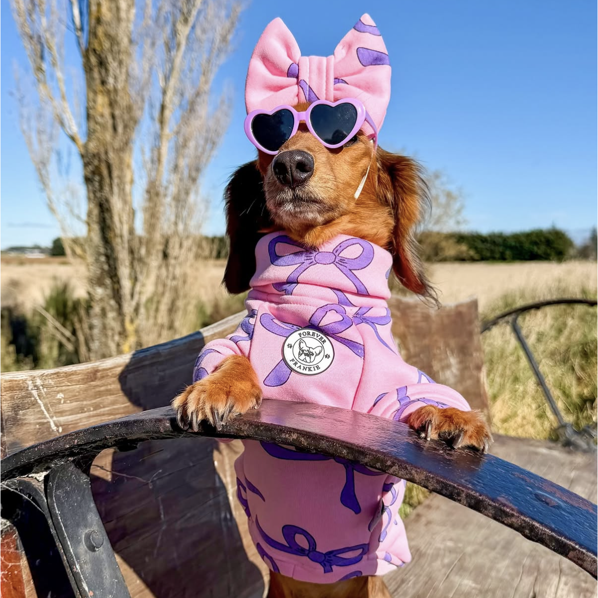 Lavender Bows - Dog Skivvy