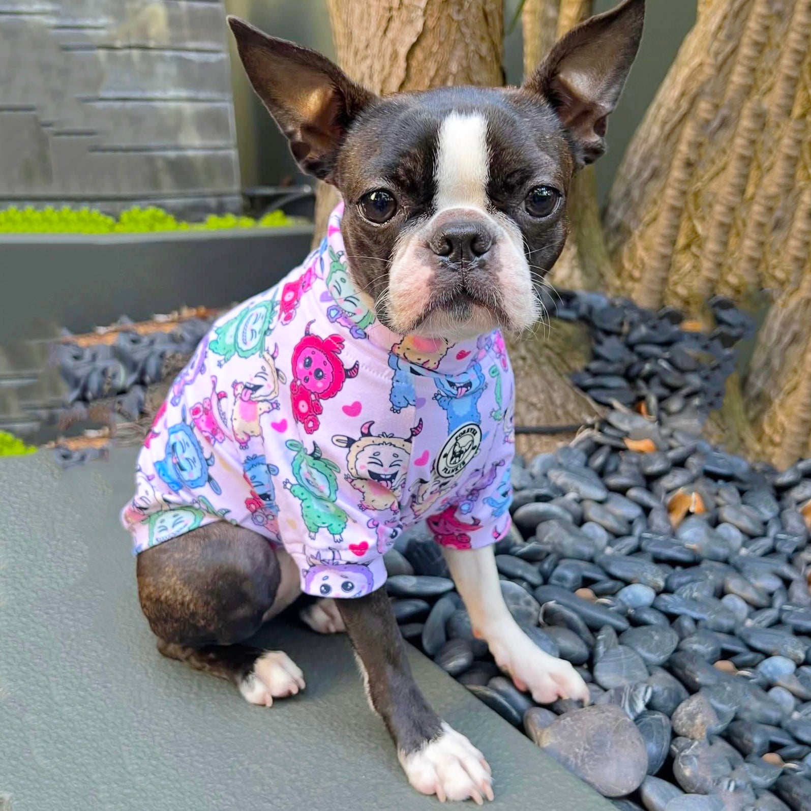 Bubblegum Pop Monsta - Dog Skivvy