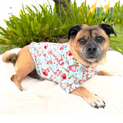 Strawberry Whispers - Dog Skivvy (Limited stock)
