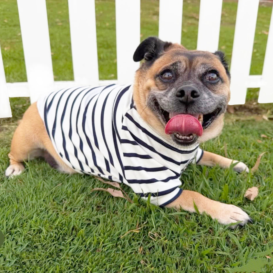 Navy Classic Skivvy - Dog Skivvy