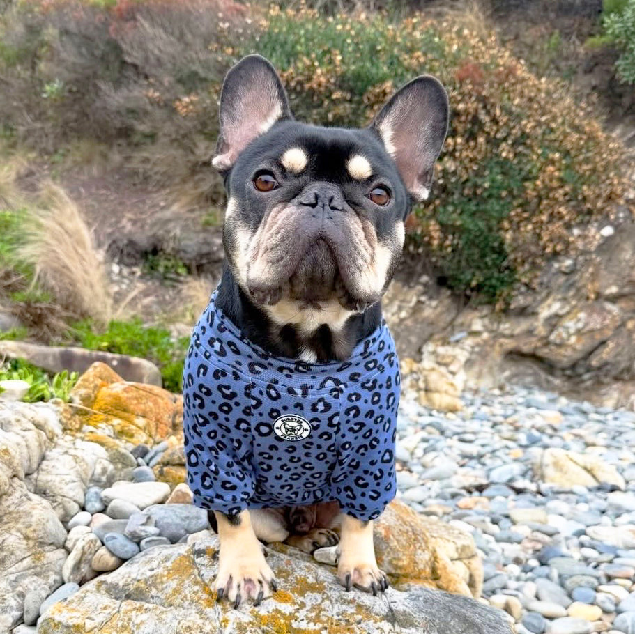 Midnight Leopard - Dog Skivvy