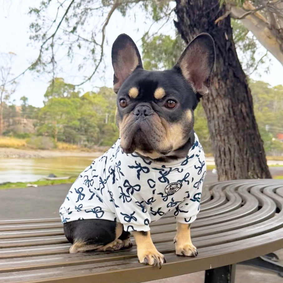 Midnight Bows Skivvy - Dog Skivvy
