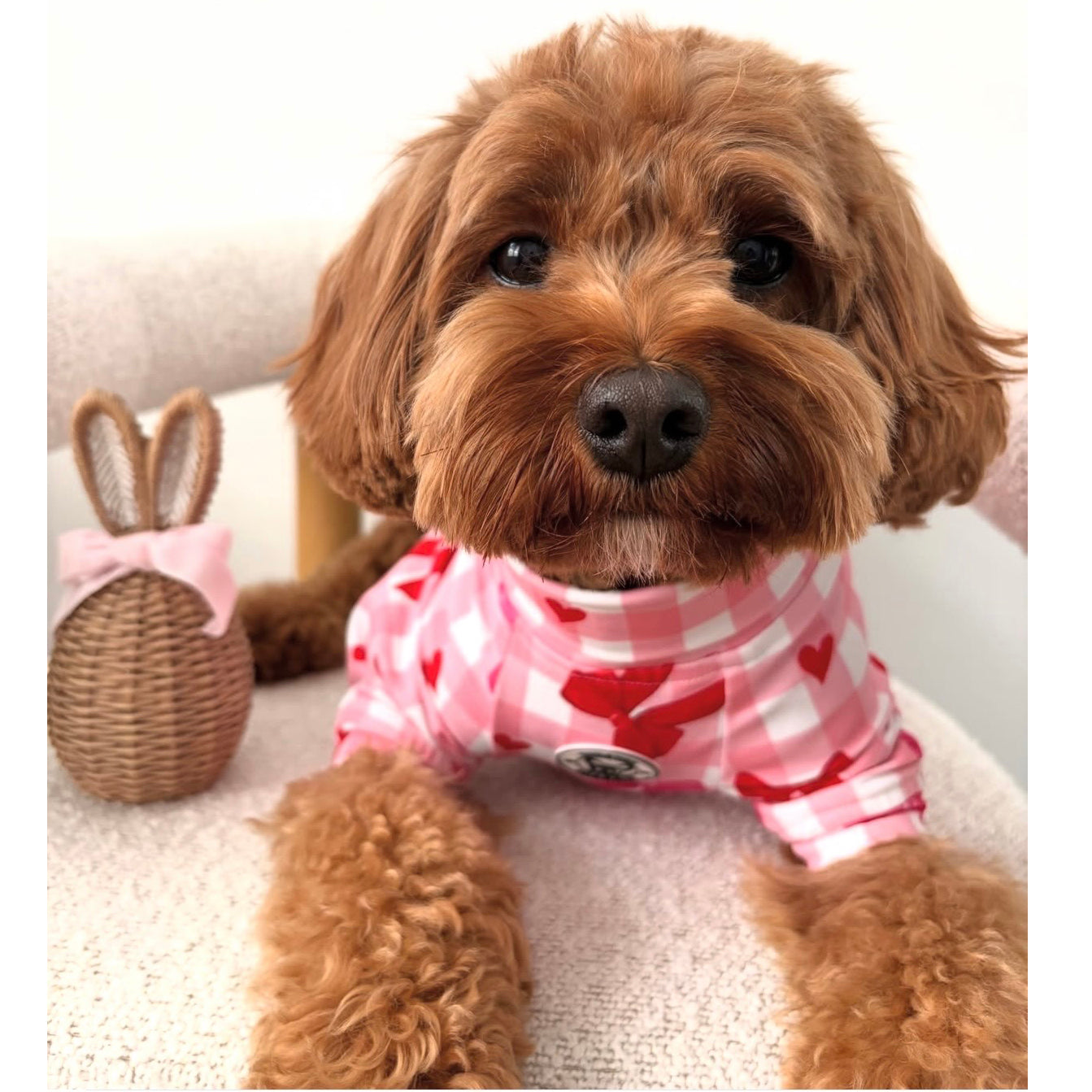 Sweetheart Bows Gingham - Dog Skivvy