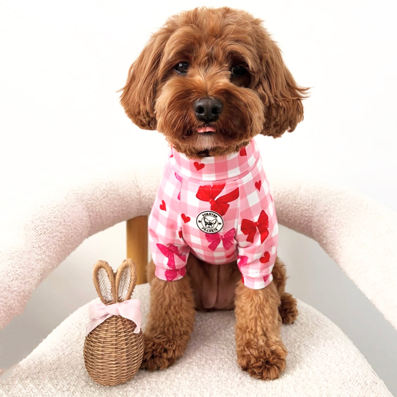 Sweetheart Bows Gingham - Dog Skivvy