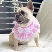 Daisy Stripe Delight Bandana-LARGE