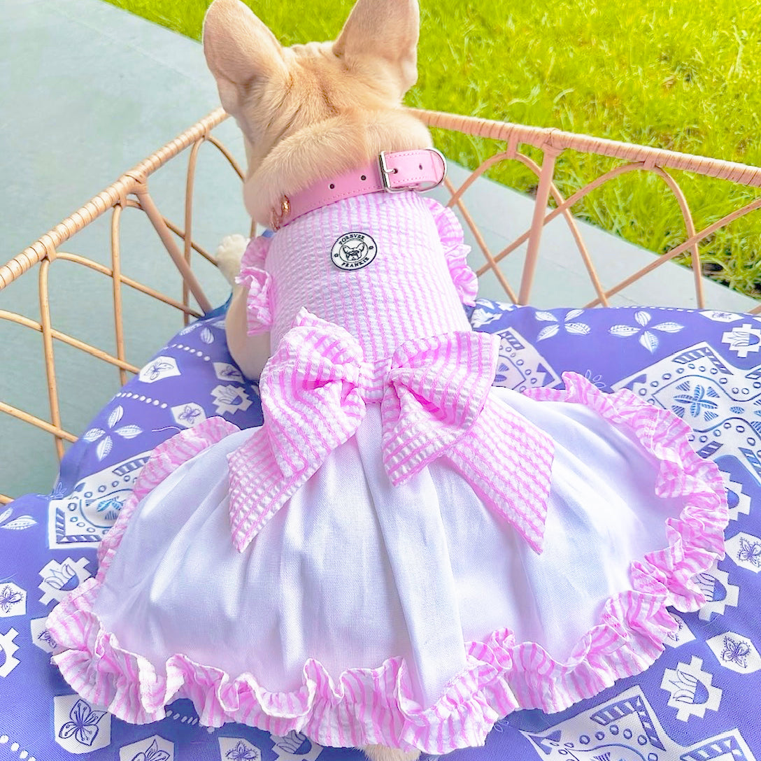 Luxe Pink Gingham Seersucker Dog Dress (Limited Edition)
