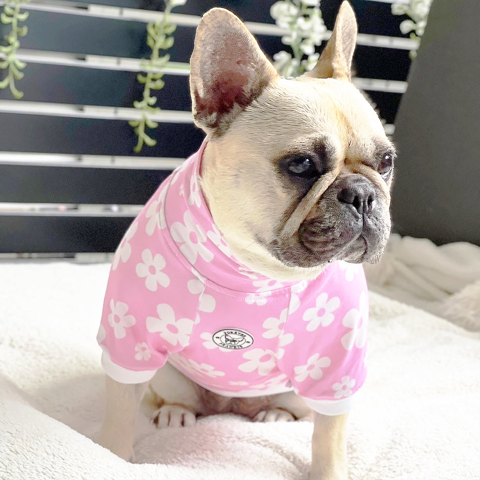 Luxe-Daisy Blush Dog Skivvy