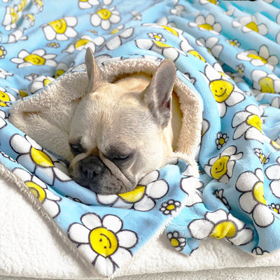 Happy Days - Extra Soft Pet Blanket