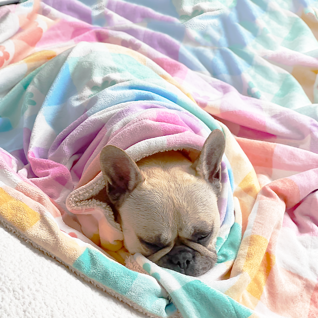 Gingham Wonderland - Extra Soft Pet Blanket