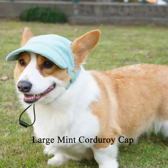 Corduroy Dog Cap - Mint