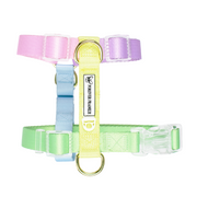 Pastel Rainbow - Luxe Strap Harness