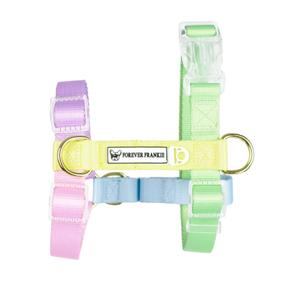 Pastel Rainbow - Luxe Strap Harness