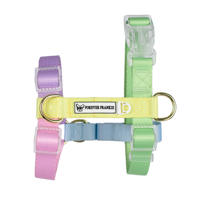 Pastel Rainbow - Luxe Strap Harness