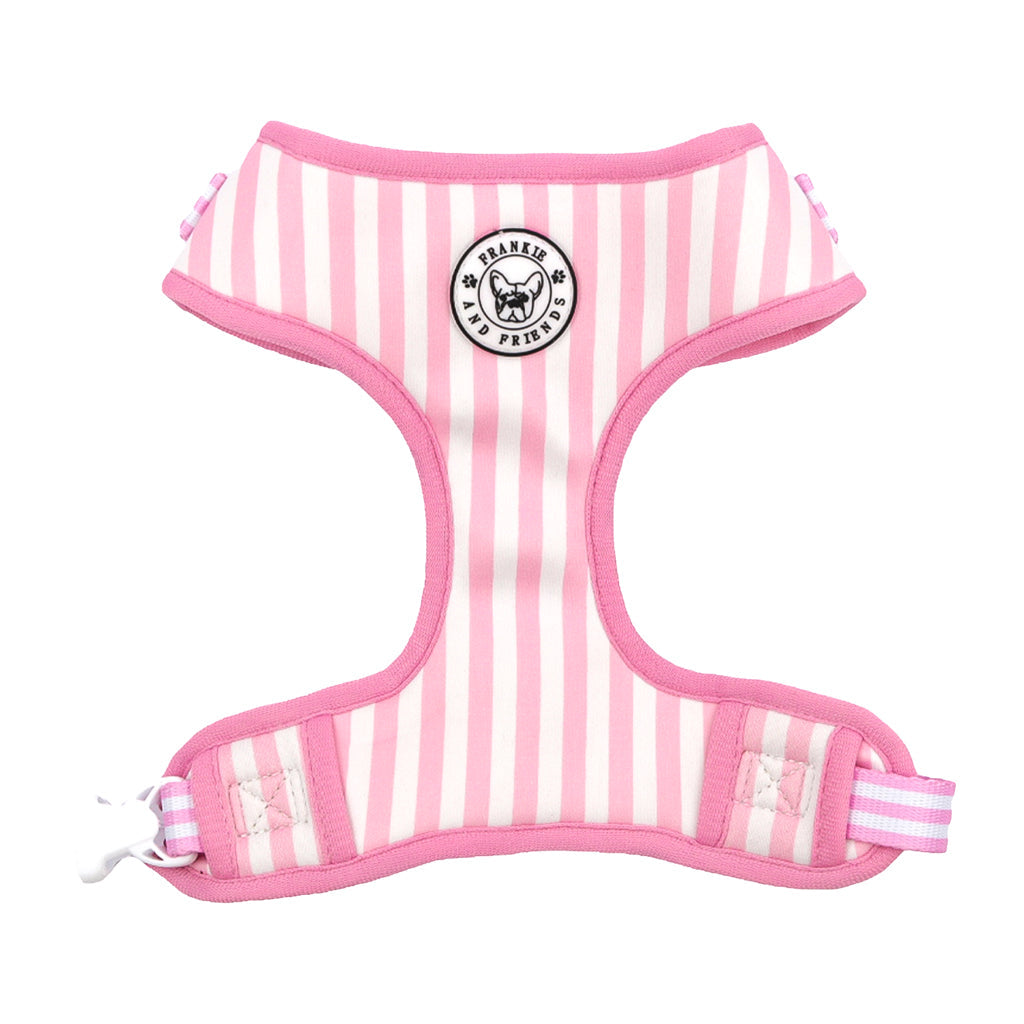 Pink Candy Stripe Walk Bundle