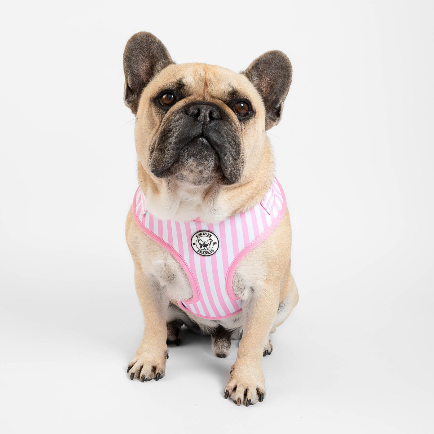 Pink Candy Stripe - Adjustable Harness
