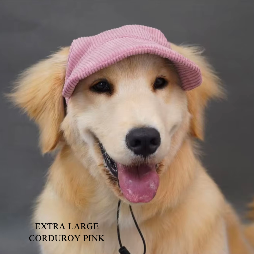 Corduroy Dog Cap - Pink