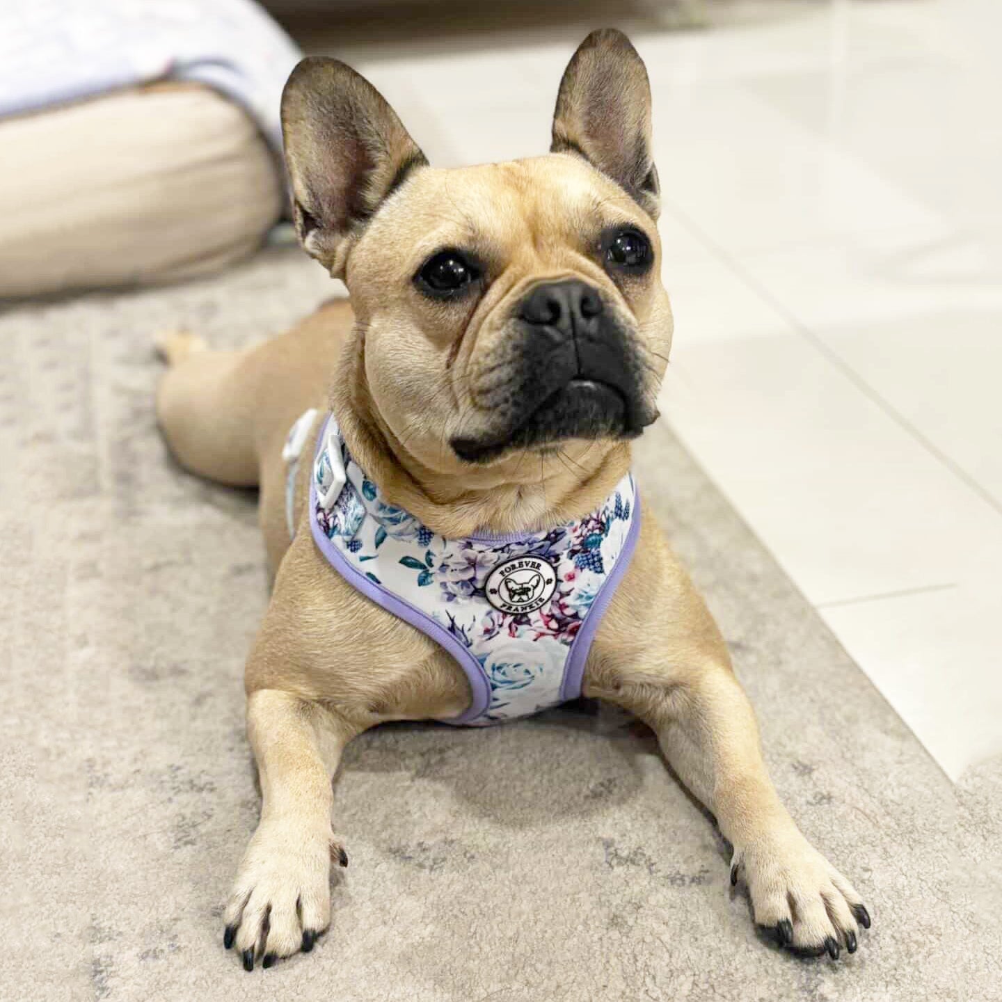 Purple Floral - Adjustable Harness - End of Line