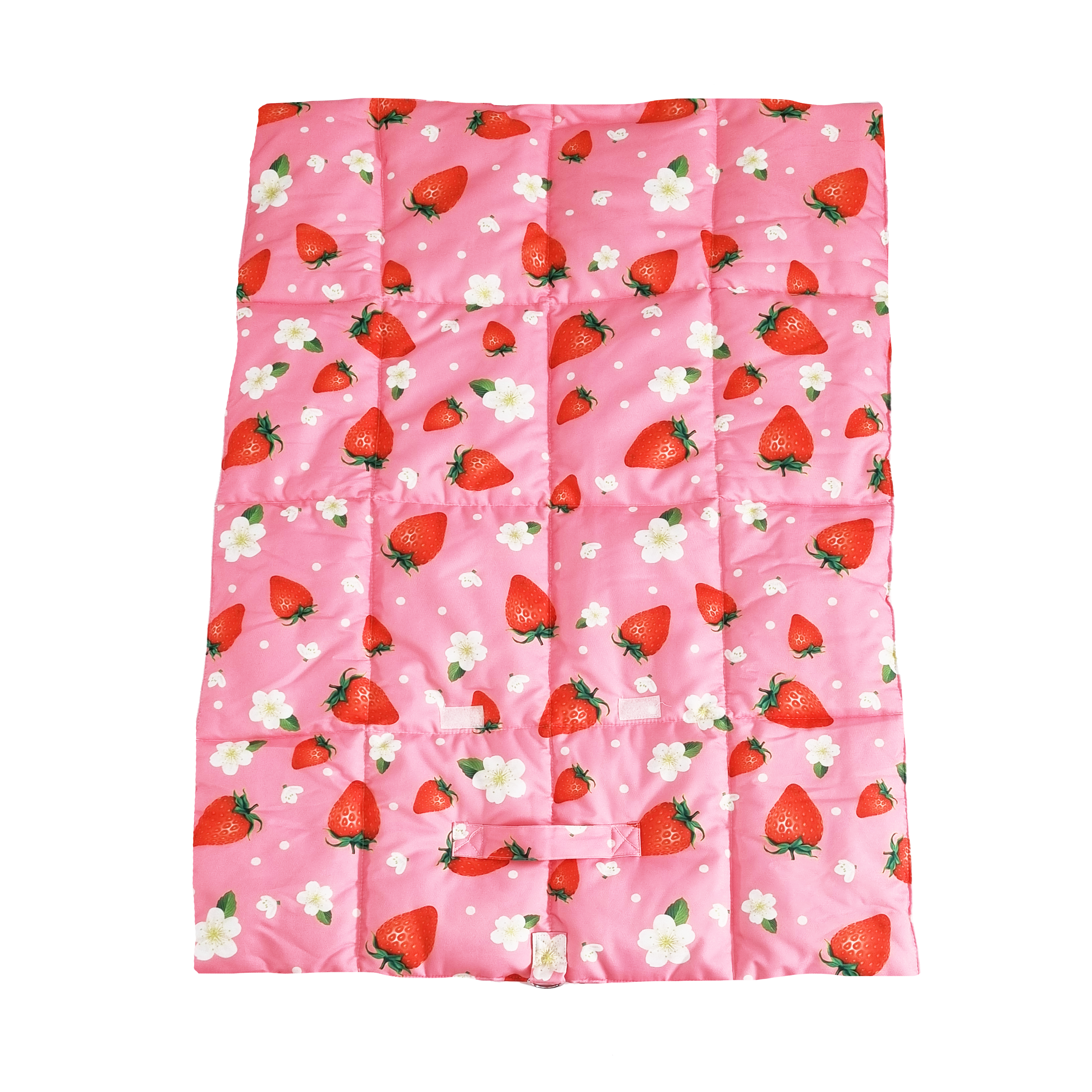 Strawberry Cream - Adventure Mat