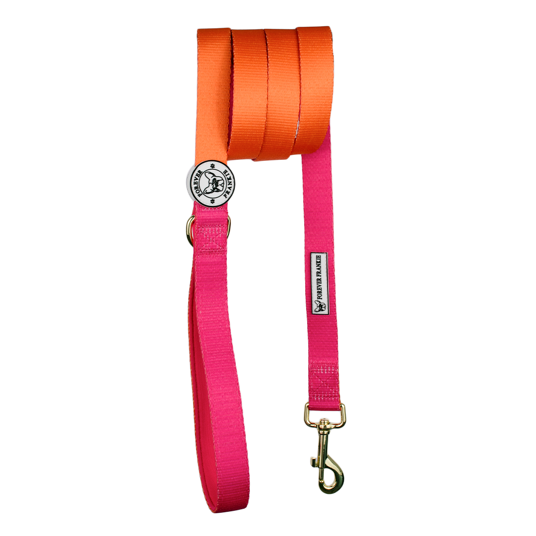 Sunset - Luxe Dog Lead