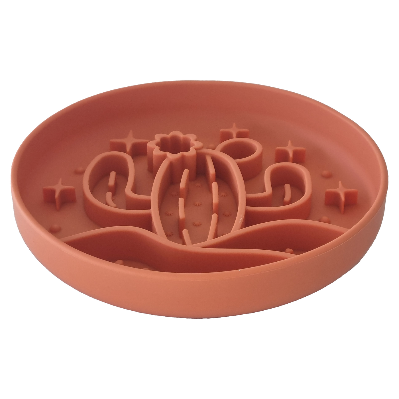 Luxe Terracotta Cactus - Slow Feed Bowl