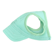 Mesh Dog Cap - Mint
