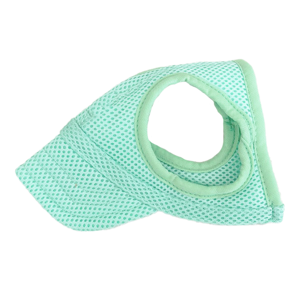 Mesh Dog Cap - Mint