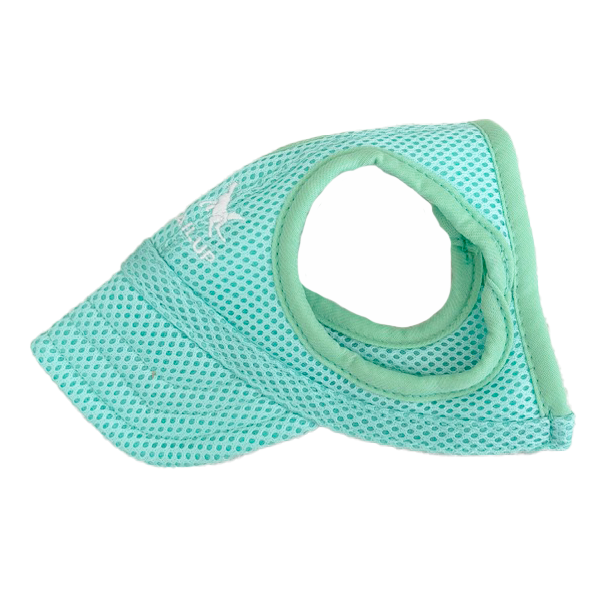 Mesh Dog Cap - Mint