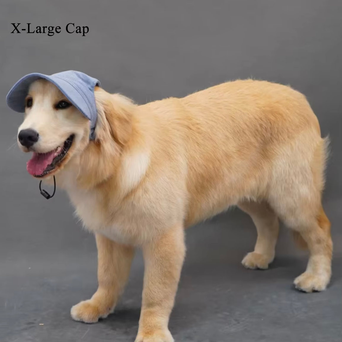 Corduroy Dog Cap - Blue