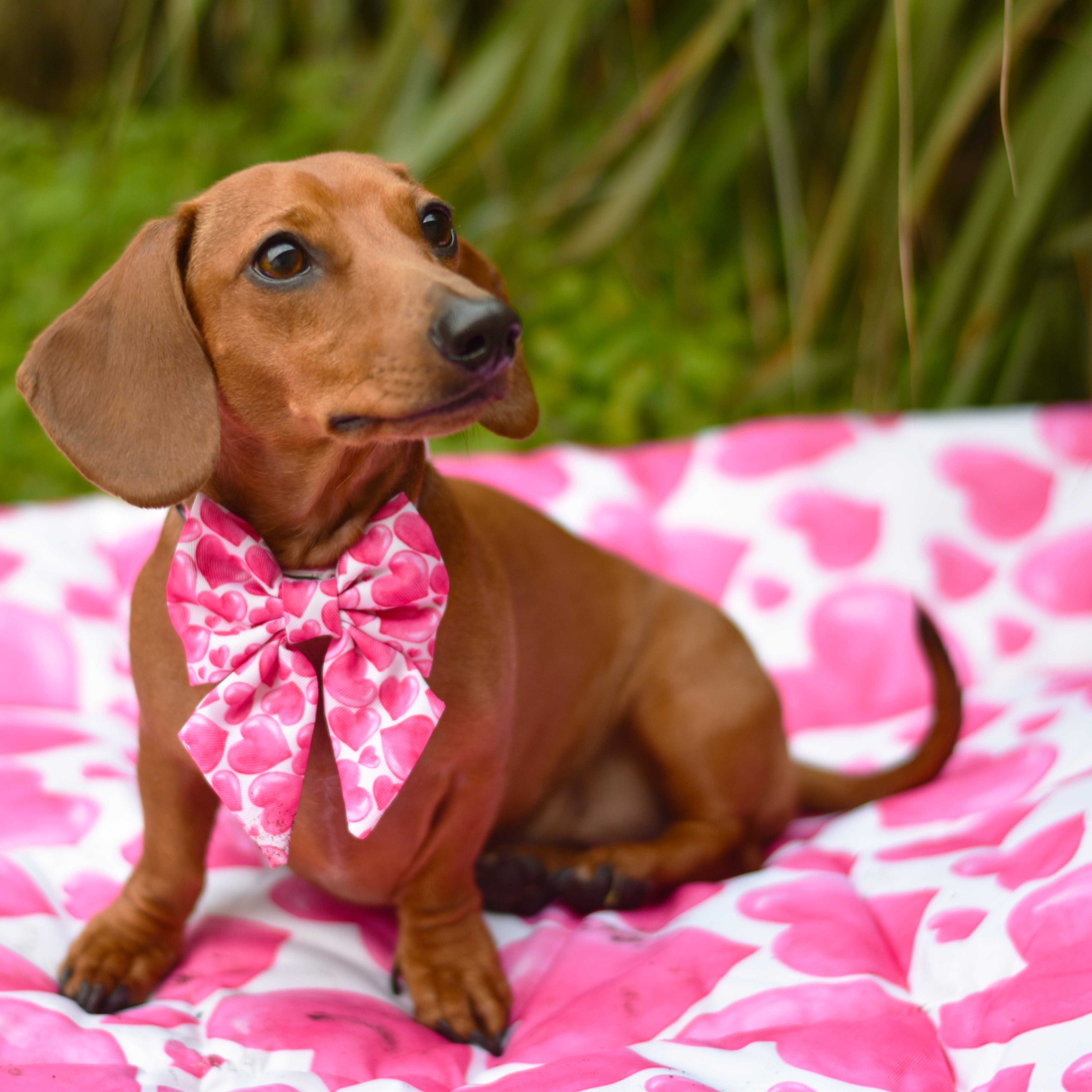 Sweethearts - Adventure Mat