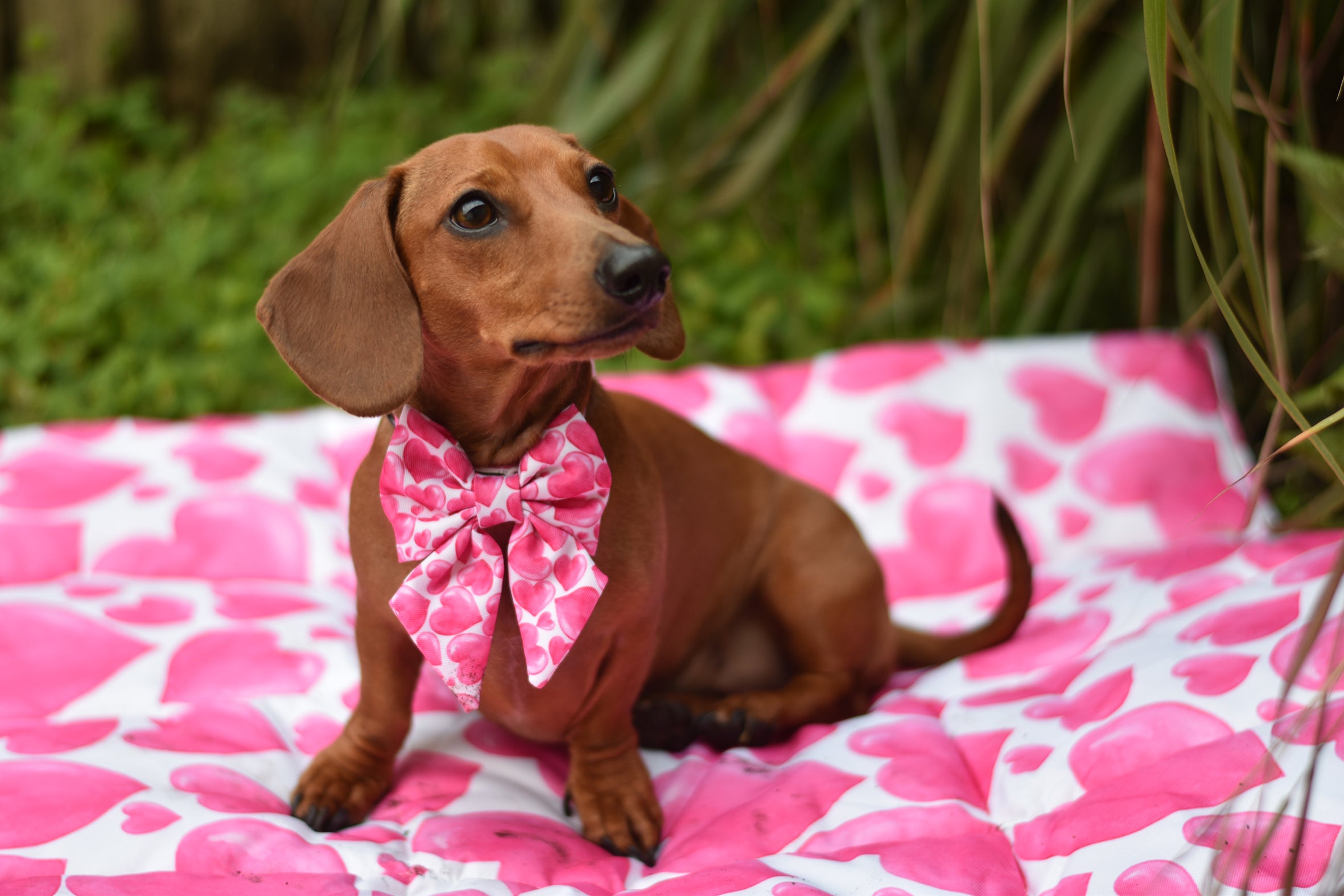 Sweethearts - Adventure Mat