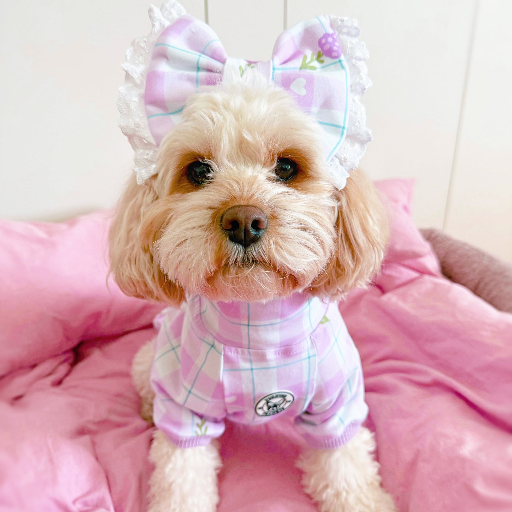Luxe-Gingham Lavender Dream Dog Skivvy