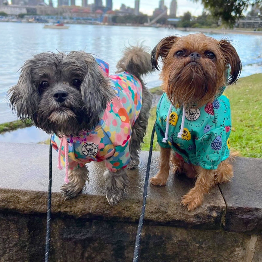 Summer Floral - Dog Rain Jacket
