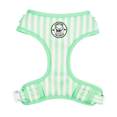 Mint Candy Stripe - Adjustable Harness