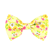 Summer Fling - Bow Tie - End of Line