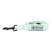 Mint Candy Stripe - Dog Lead