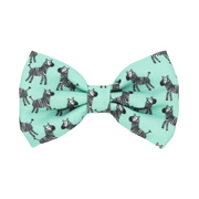 Mint Zebra - Bow Tie