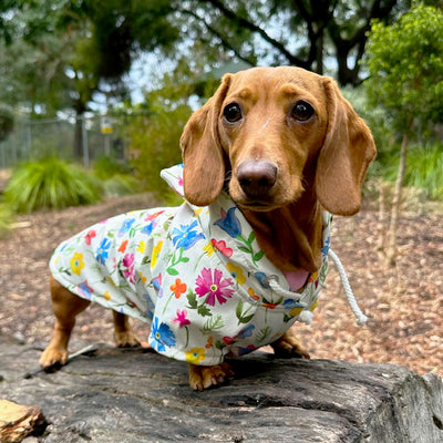 Spring Garden - Dog Rain Jacket