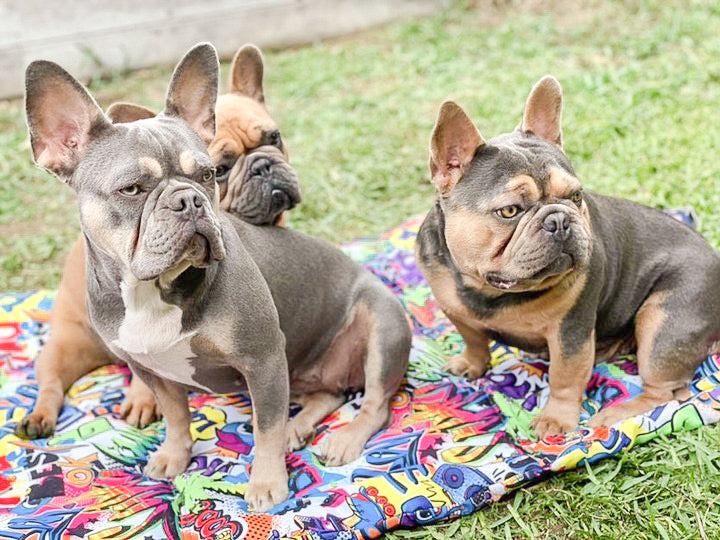 Graffiti - Adventure Mat - End Of Line