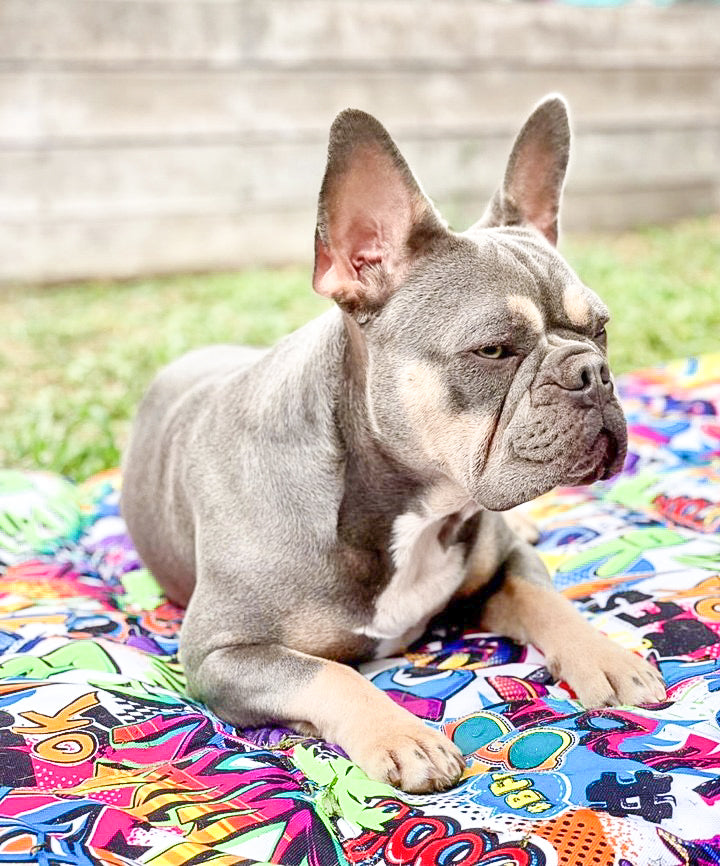 Graffiti - Adventure Mat - End Of Line