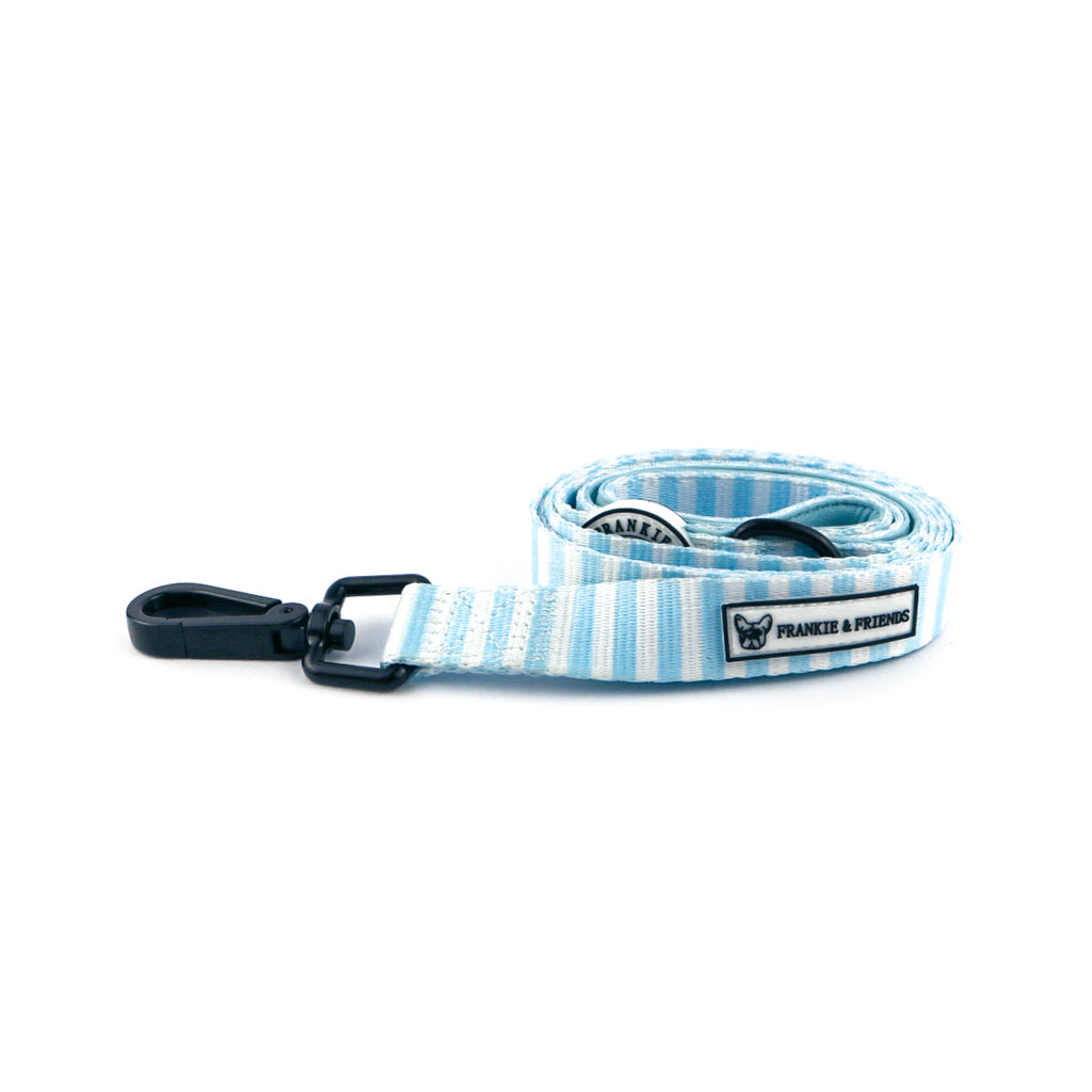 Blue Candy Stripe - Dog Lead- End of line!