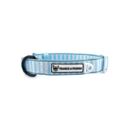 Blue Candy Stripe - Collar-End of Line!
