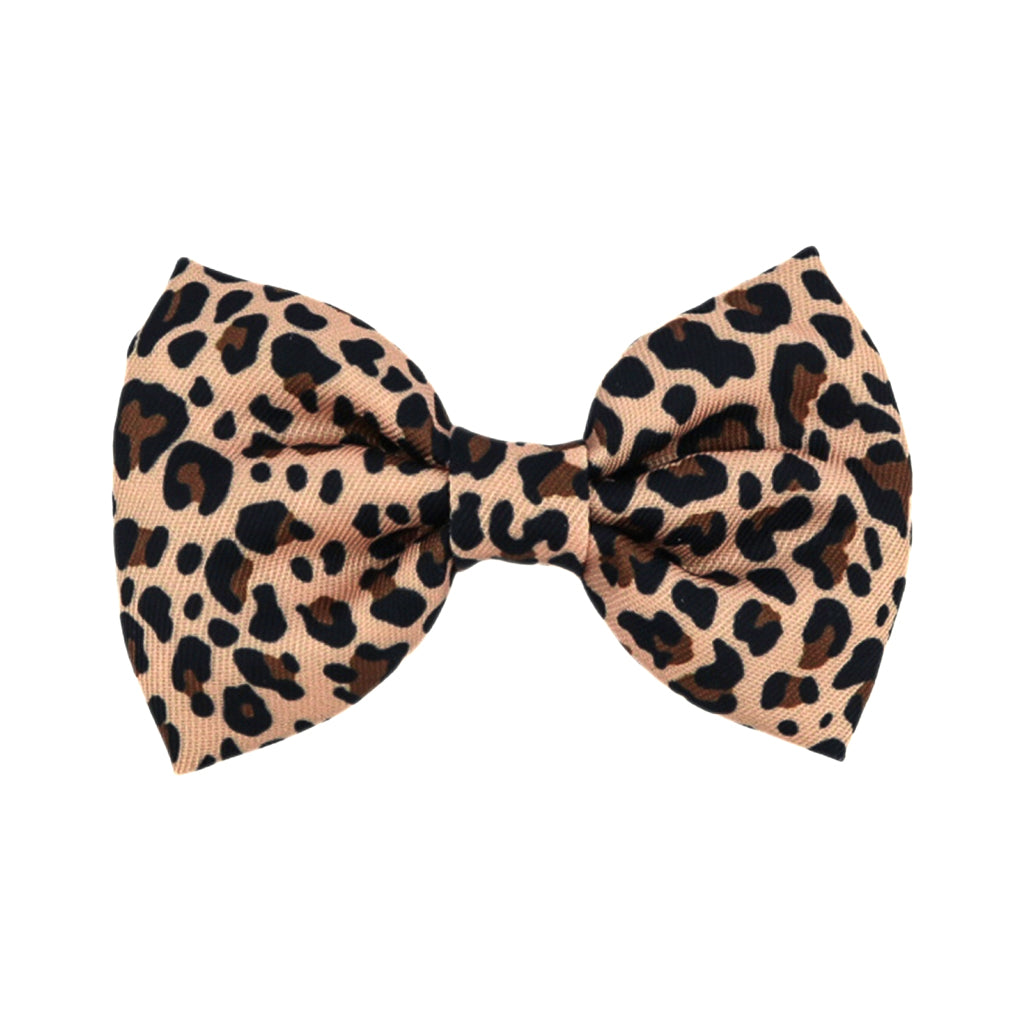 Born To Be Wild - Bow Tie