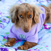 Lavender Dog Hoodie
