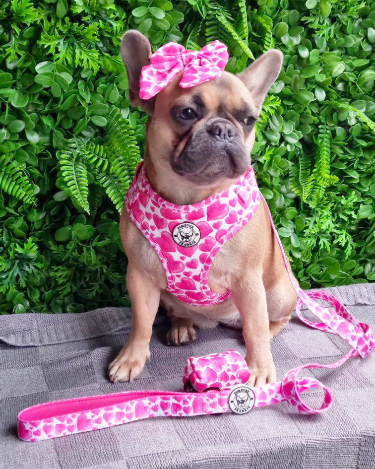 Sweethearts - Adjustable Harness