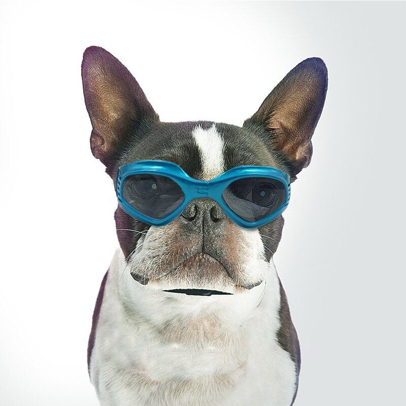 Dog Sun Doggles BLUE