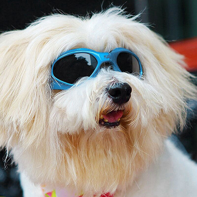 Dog Sun Doggles BLUE