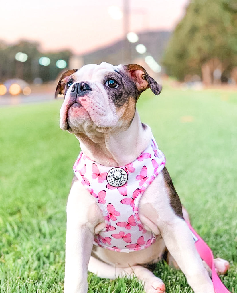Butterfly Kisses - Adjustable Harness