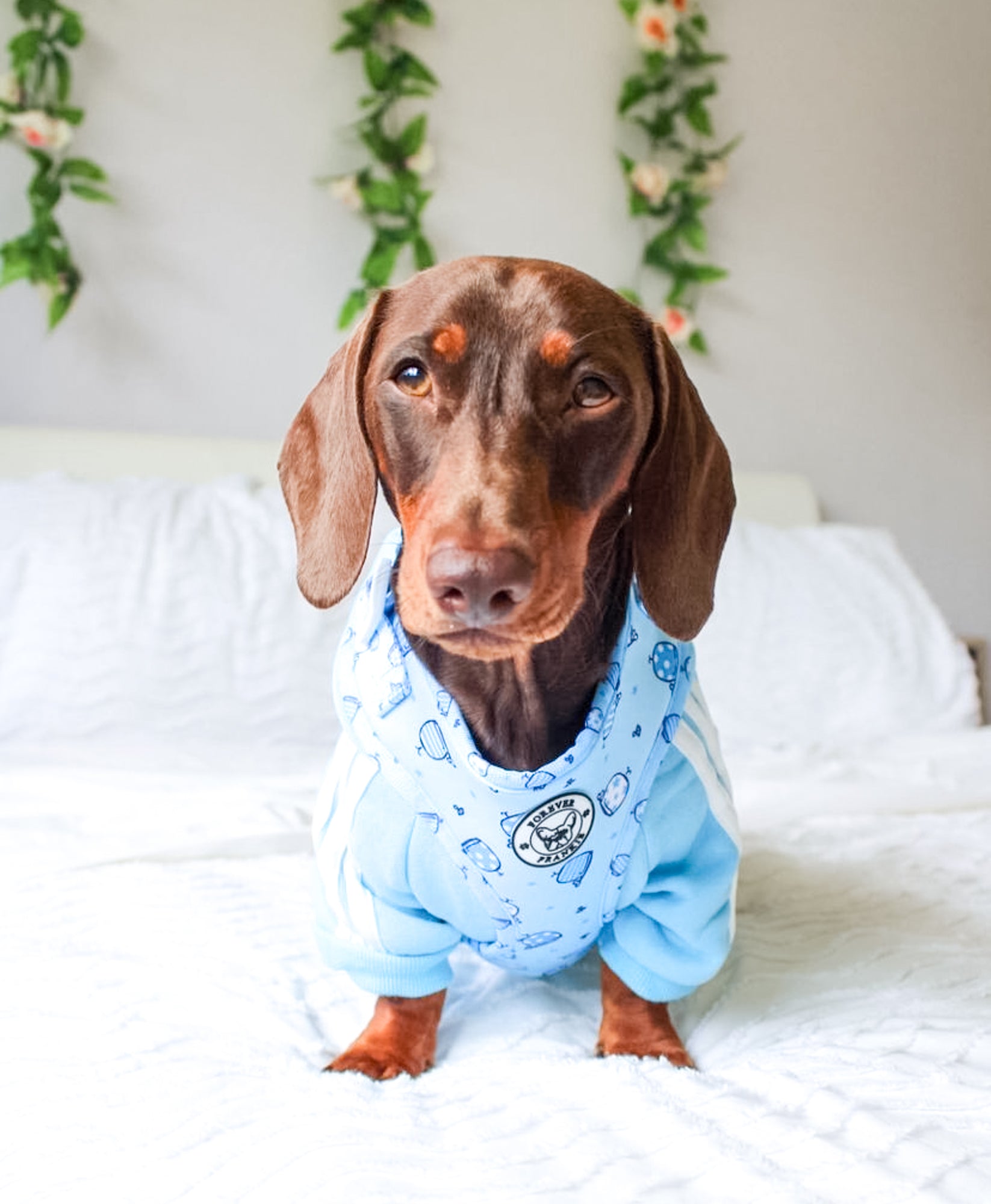 Whale of a Time - Adjustable Harness - End Of Line