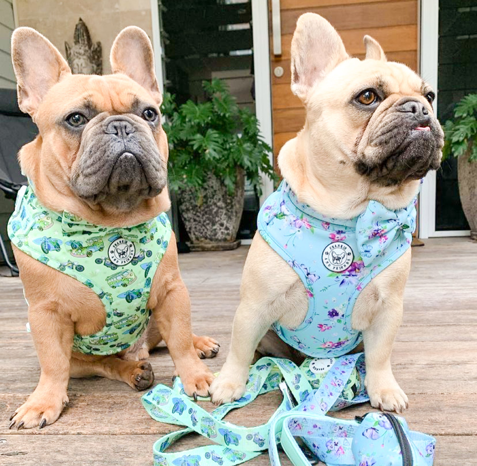 Spring Butterfly - Adjustable Harness - End Of Line